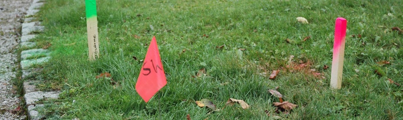 Bunte Markierungen auf grünem Gras, pinke und grüne Fahnen stehend.